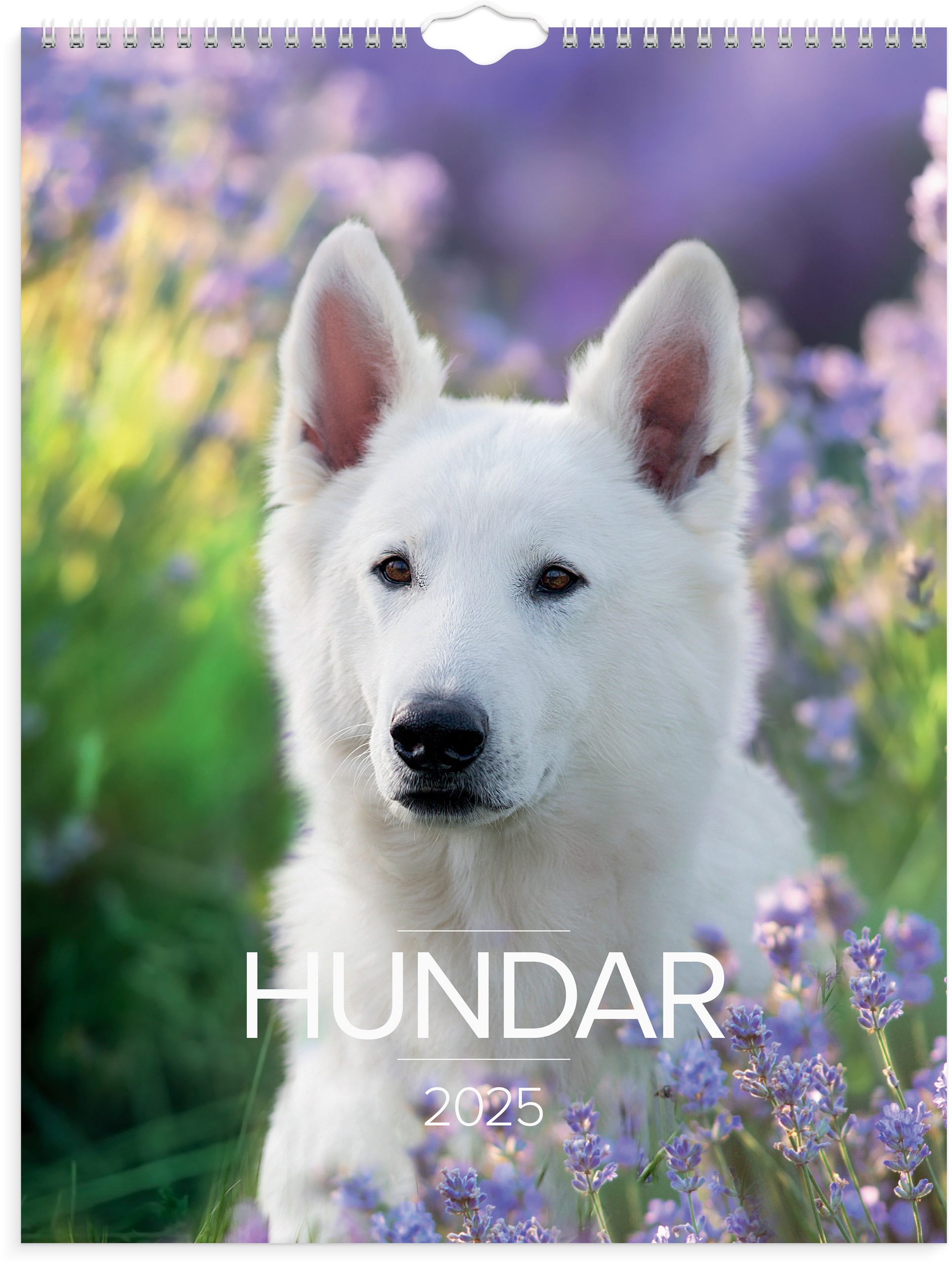 Djurkalender Hund 2025 Handla online